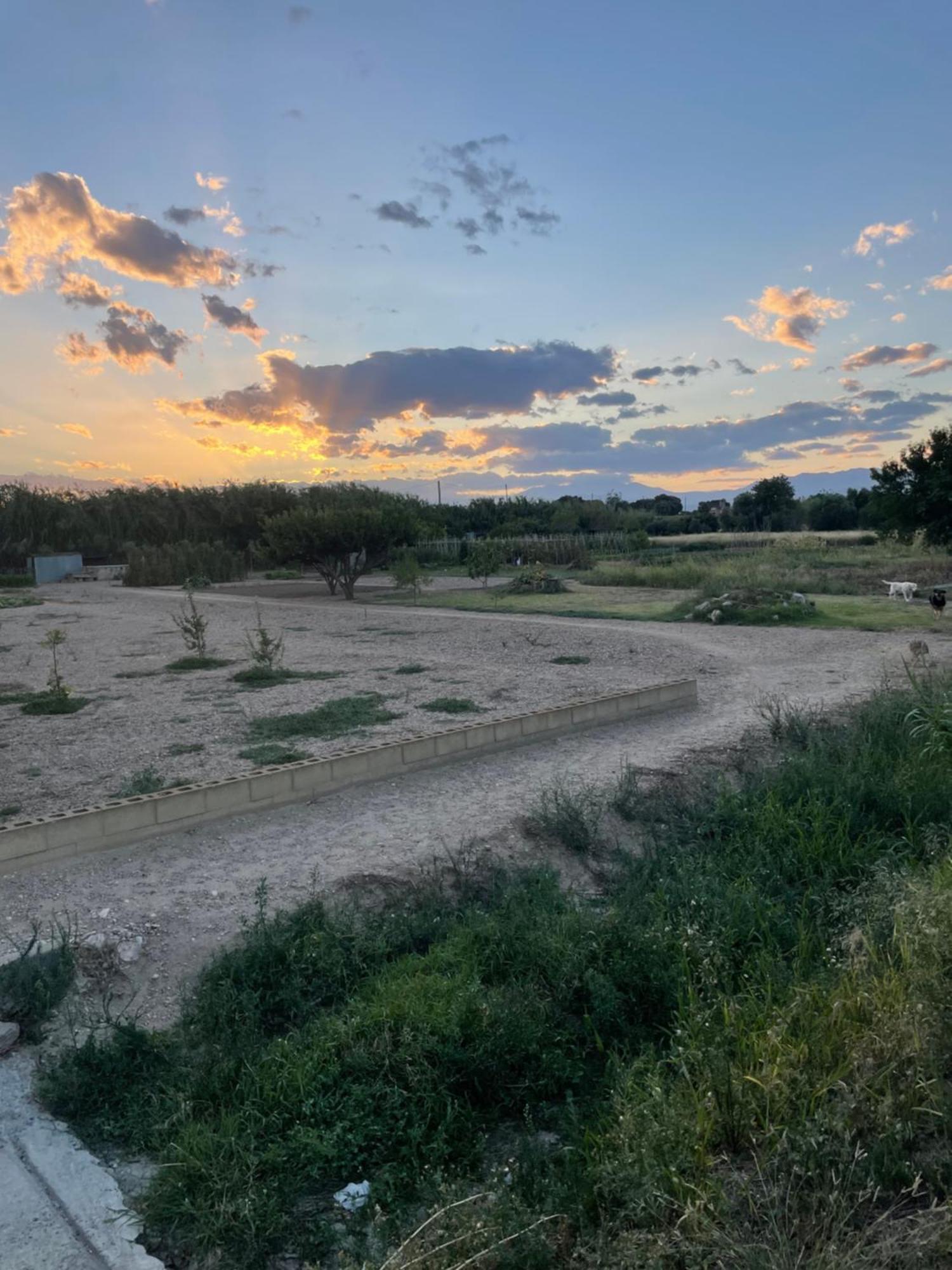 Emporda Country House Borrassá エクステリア 写真